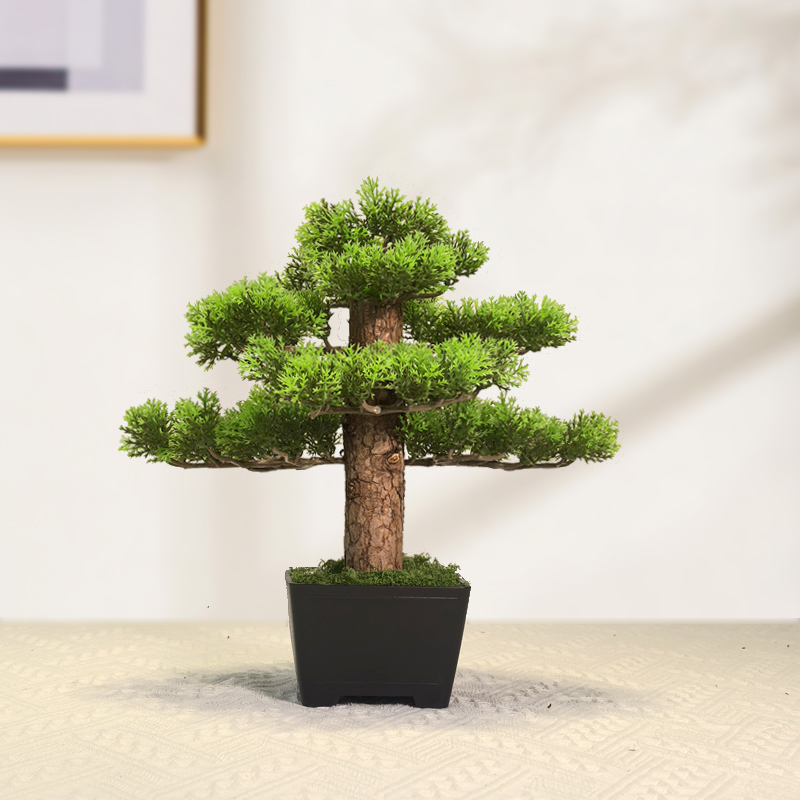 Bonsai Garden Sushi - بونساي نبات اصطناعي، أشجار مقلدة، نباتات