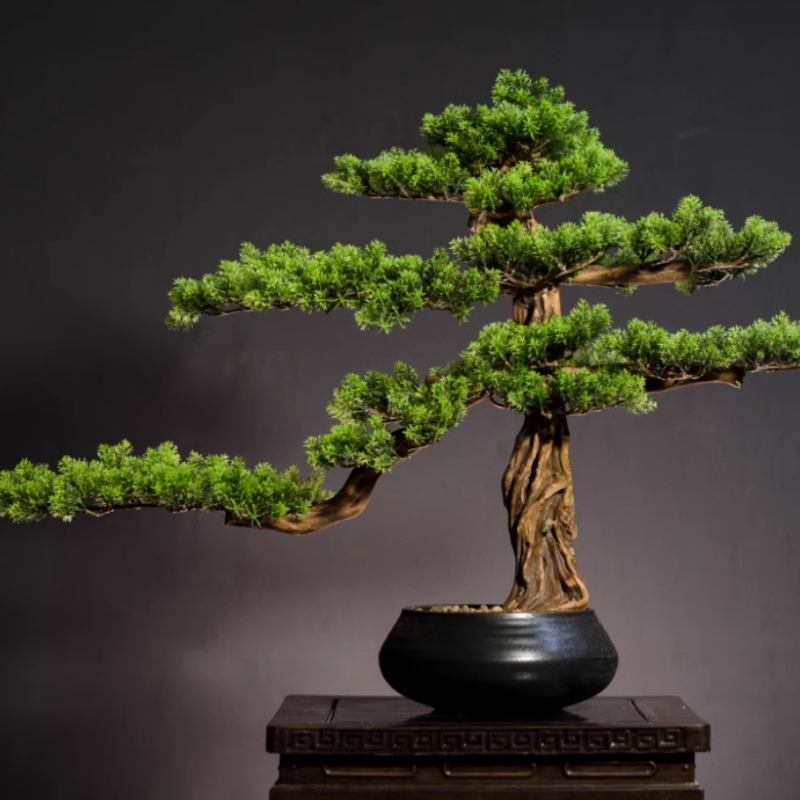 Bonsai Garden Entrance - المنزل ترحيب الصنوبر الحلي مقلد السيراميك