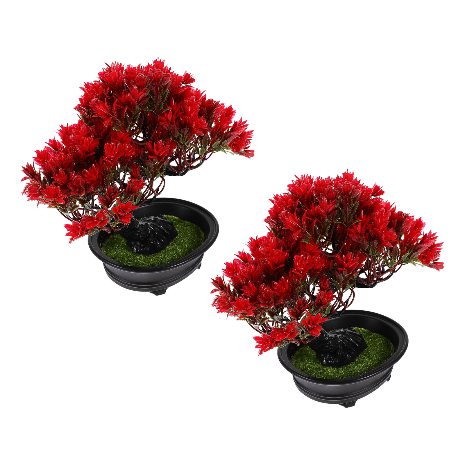 Bonsai Tree Zen Garden - قطعتان من نباتات البونساي المكتبية بارتفاع