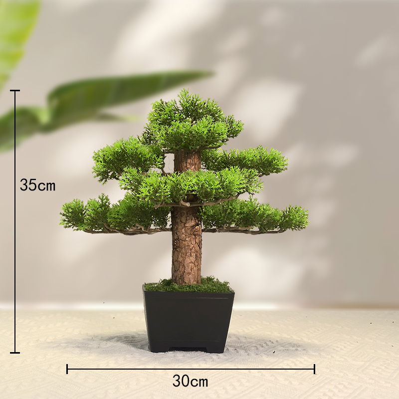 بونساي نبات اصطناعي، أشجار مقل - مراجعة Bonsai Garden Sushi وسعره