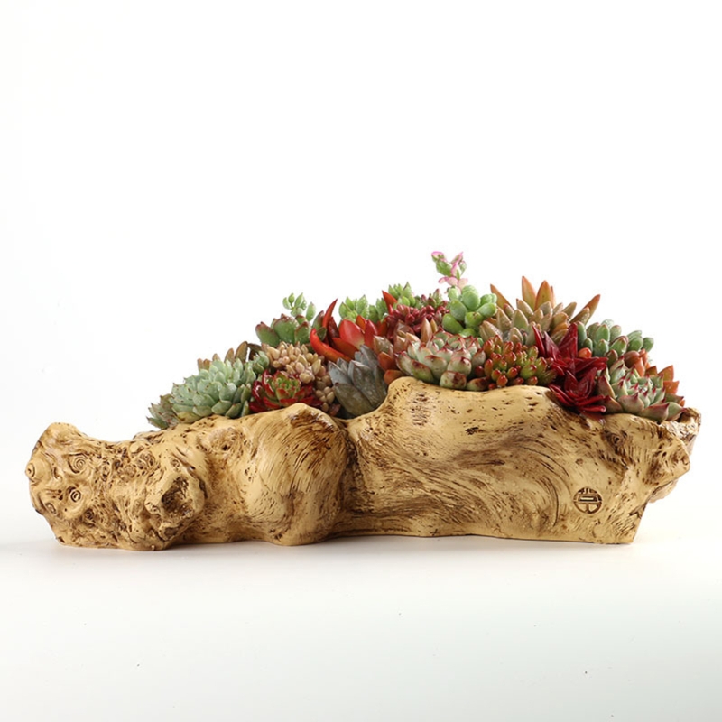 النمط الرعوي الرجعية المشهد ان - مراجعة Bonsai Tree Zen Garden وسعره