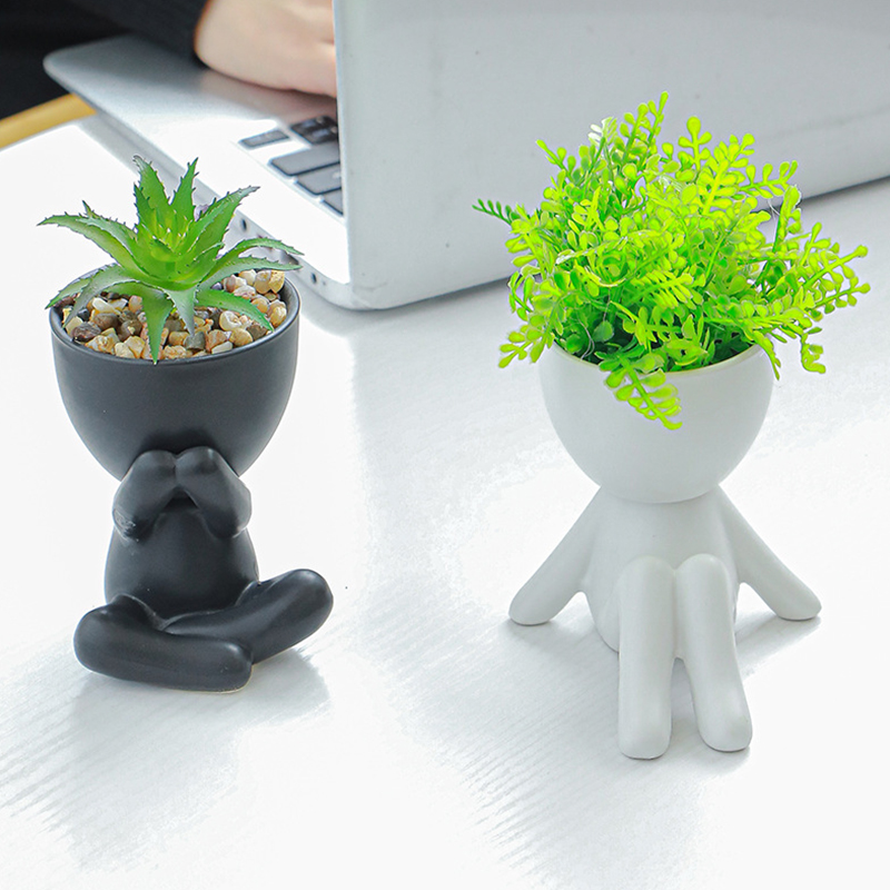 الشمال الإبداعية لطيف رجل شجرة - مراجعة Bonsai Tree Zen Garden وسعره