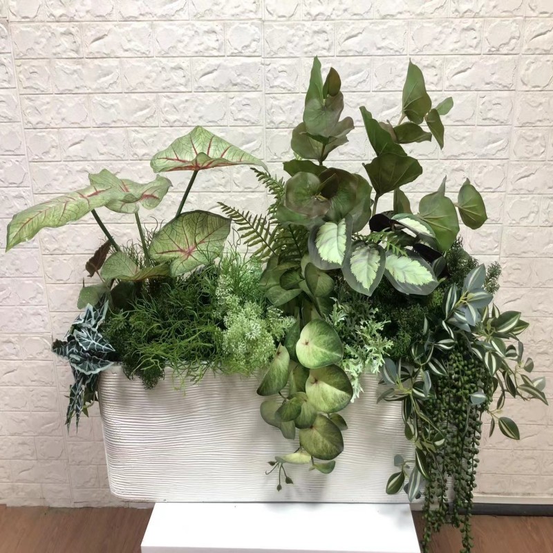 الاصطناعي زهرة النباتات وهمية  - مراجعة Bonsai Garden Sushi وسعره