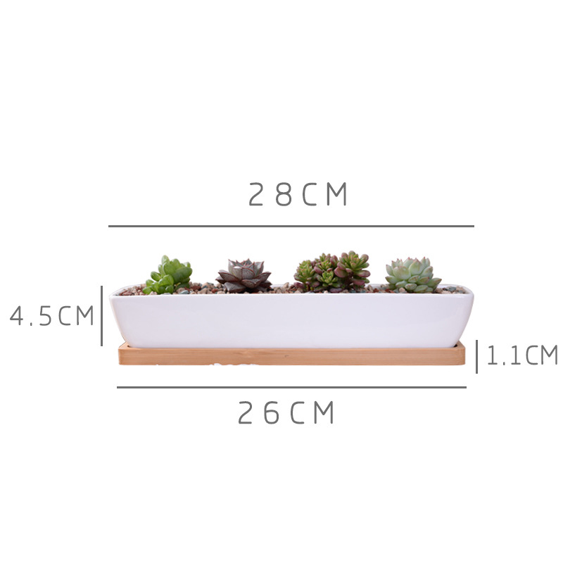 وعاء زراعة عصاري من السيراميك  - مراجعة Bonsai Tree Zen Garden وسعره