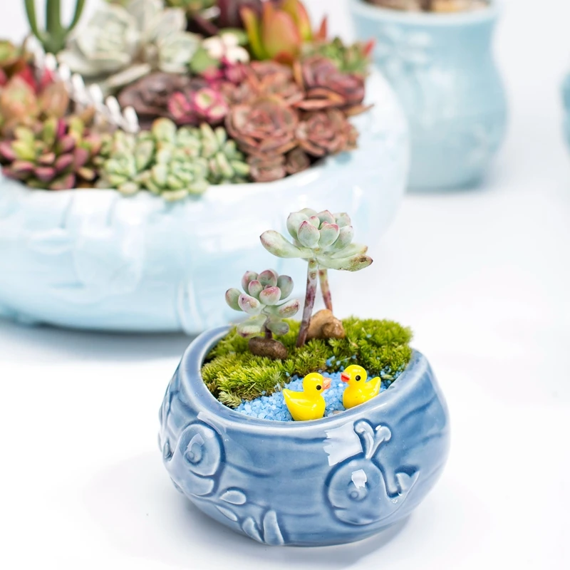 النمط الأوروبي لطيف لحمي الزهر - مراجعة Bonsai Tree Zen Garden وسعره