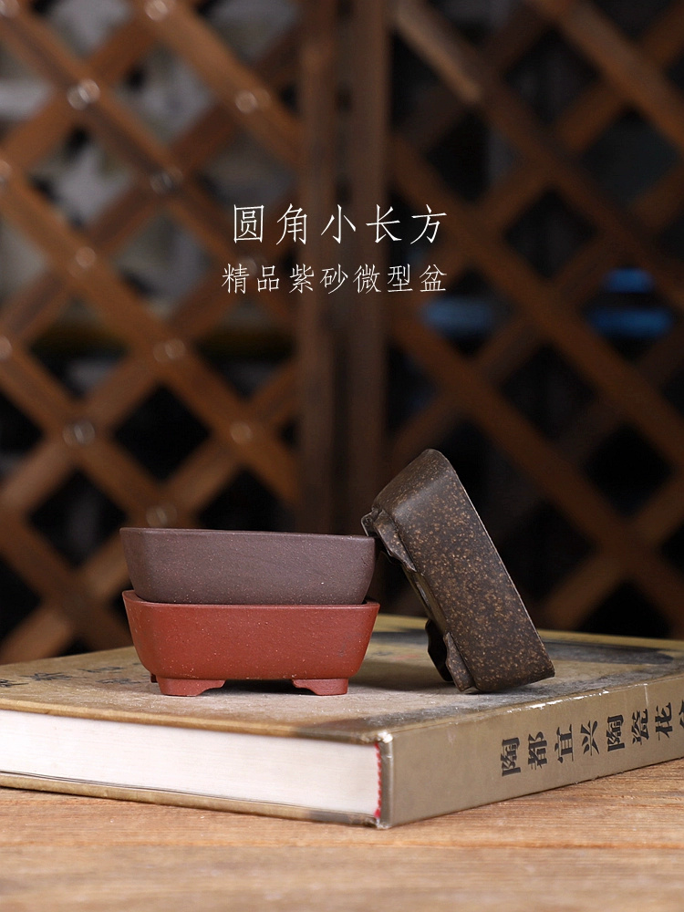 وعاء بونساي مستطيل بزاوية مستد - مراجعة Bonsai Garden With Sand وسعره