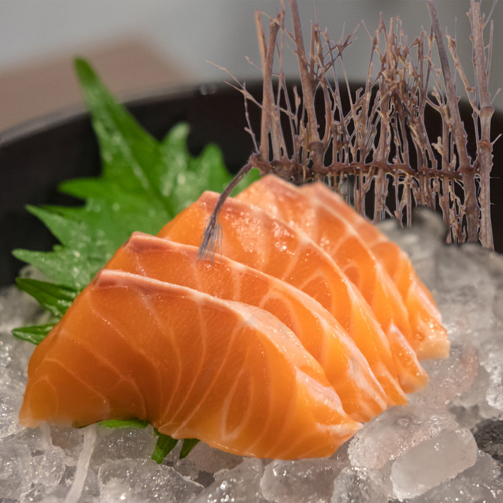6 قطع من حصائر السياج الخيزران - مراجعة Bonsai Garden Sushi وسعره