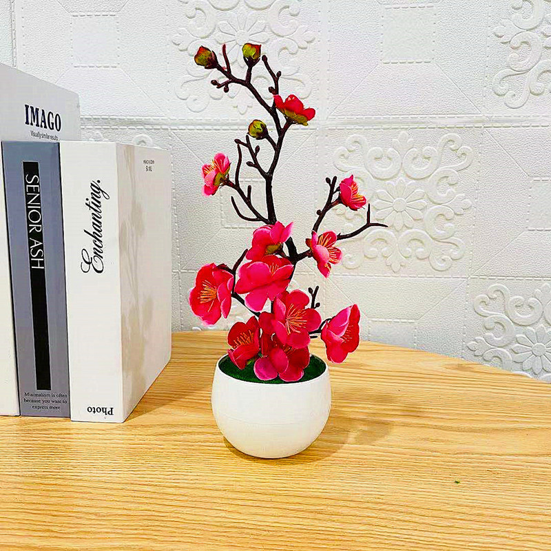 2025 حار عيد الأم النباتات الا - مراجعة Bonsai Garden Sushi وسعره