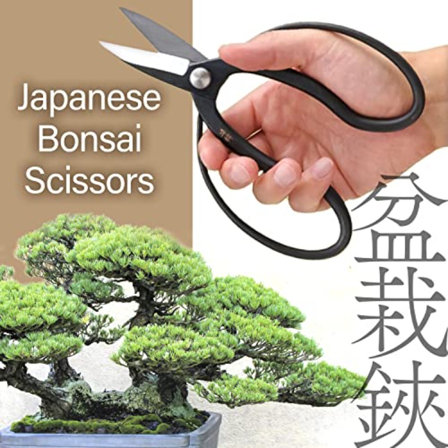 مقصات سويرو اليابانية للبونساي - مراجعة Bonsai Garden In Japan وسعره