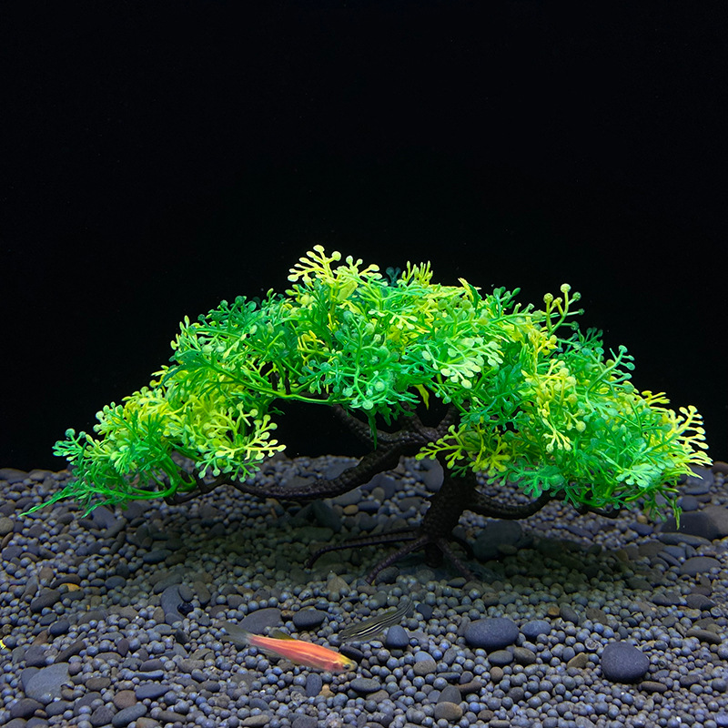 شجرة بونساي لحوض السمك ، ديكور - مراجعة Bonsai Garden Sushi وسعره