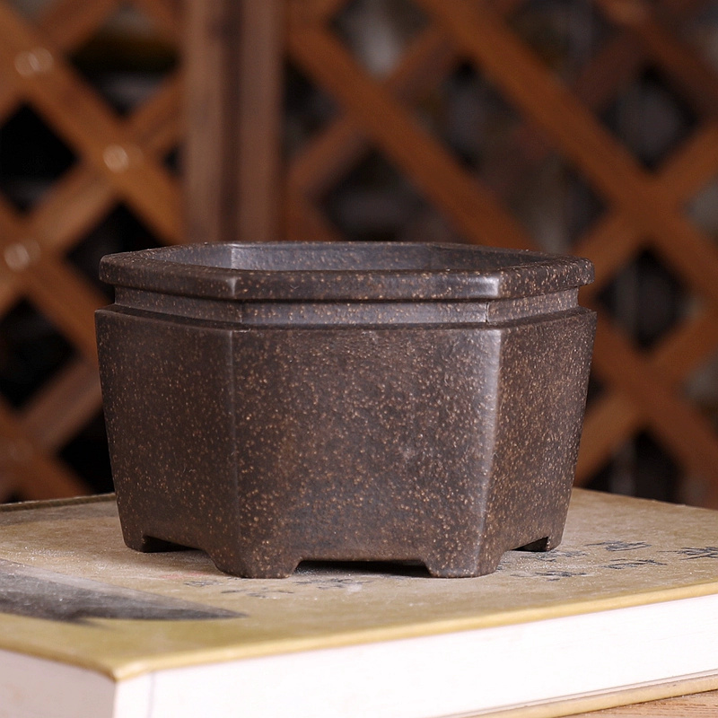وعاء بونساي سداسي ، رمل أرجوان - مراجعة Bonsai Garden With Sand وسعره