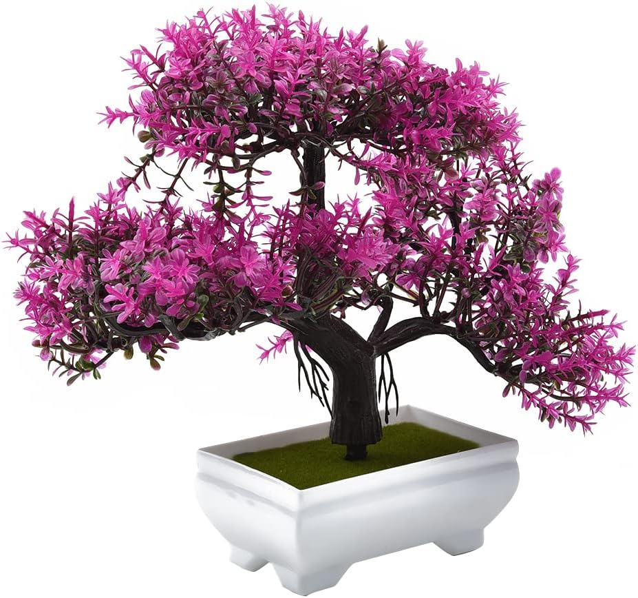 نباتات اصطناعية بونساي نبات صن - مراجعة Bonsai Garden Sushi وسعره