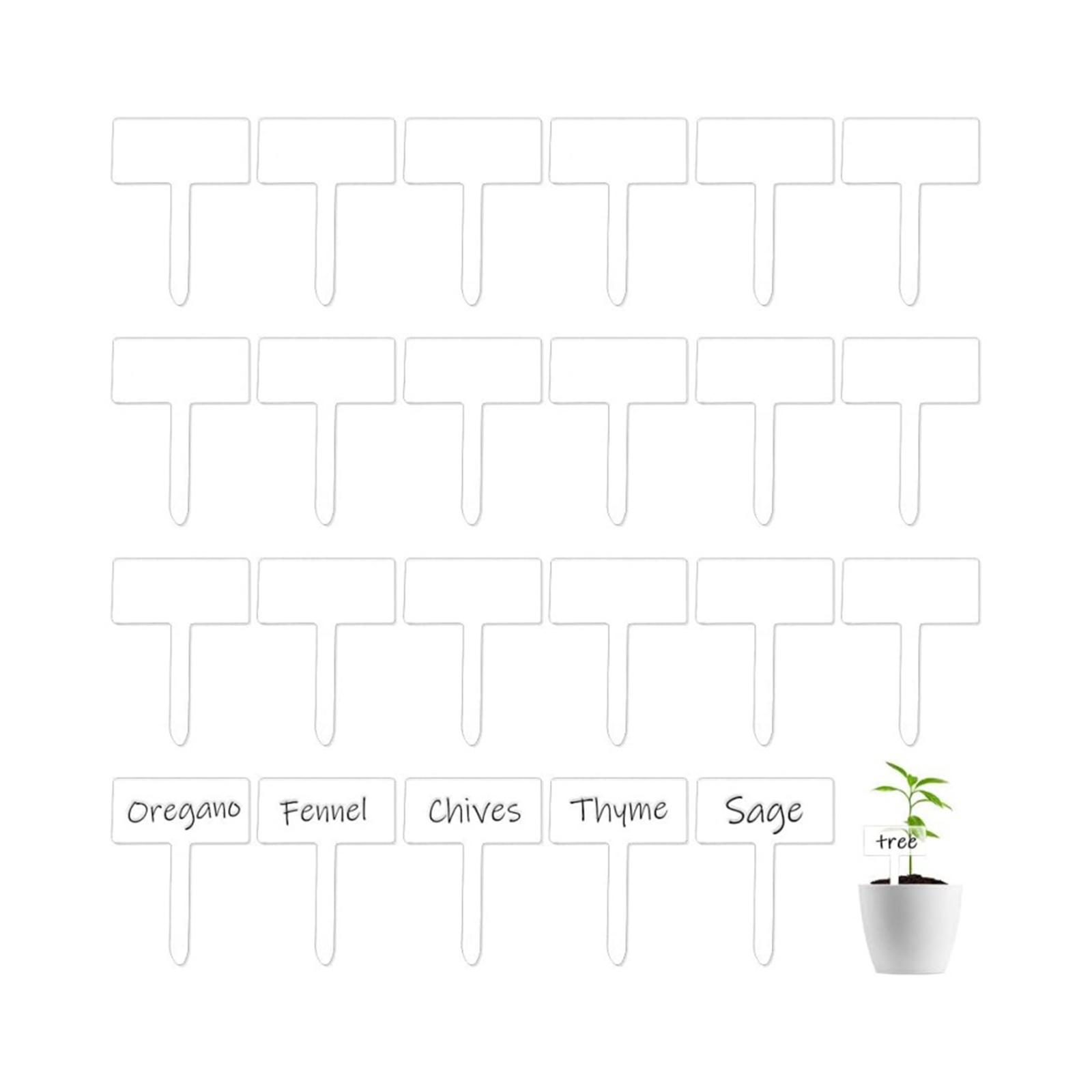 24x علامات أكريليك لأسماء النب - مراجعة Bonsai Garden Name وسعره