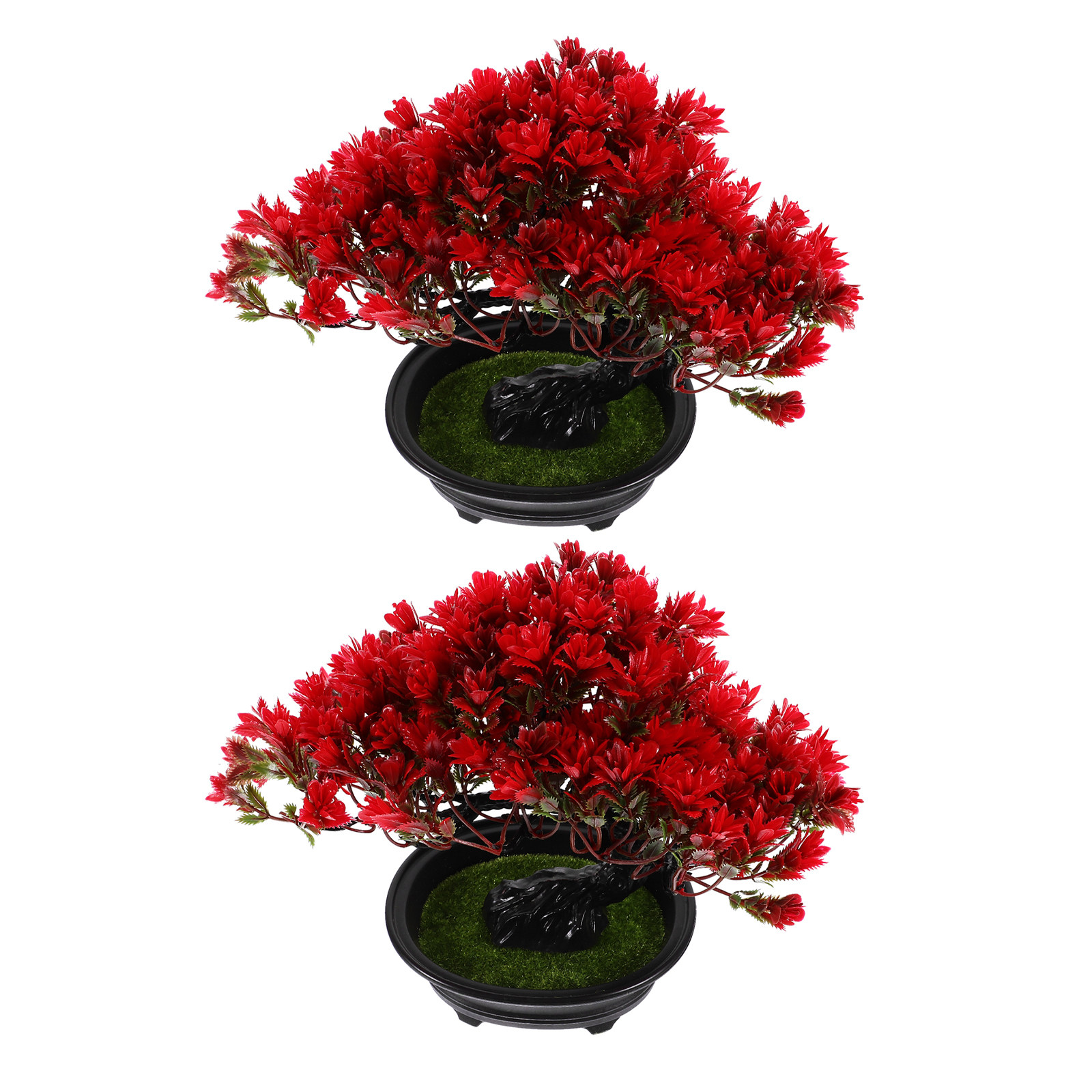 قطعتان من نباتات البونساي المك - مراجعة Bonsai Tree Zen Garden وسعره