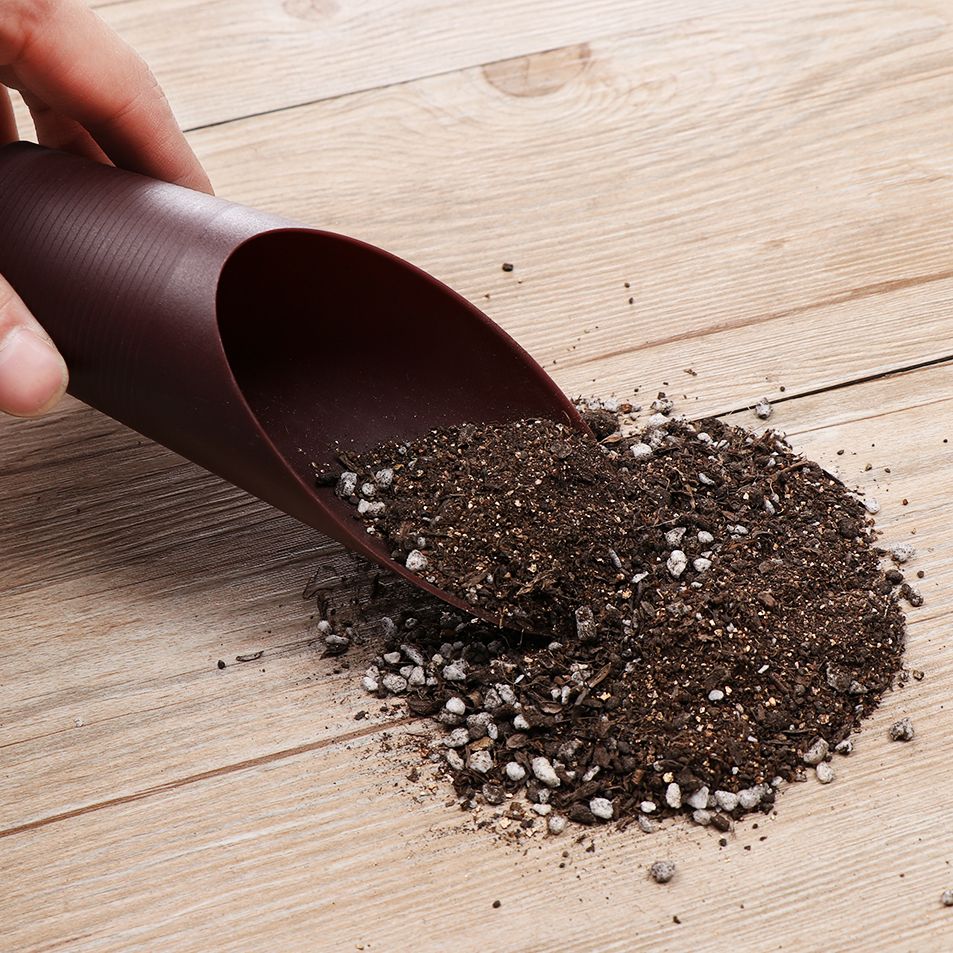 1 قطعة البلاستيك التربة مجرفة  - مراجعة Soil Scoop Tool وسعره